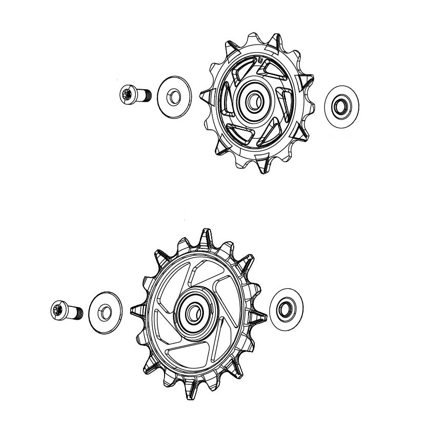 SRAM XX-SL T-TYPE EAGLE AXS / RED XPLR E1 12 speed achterderailleurkooien