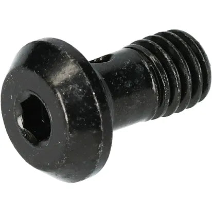 Banjoschroef SHIMANO BR-M8100