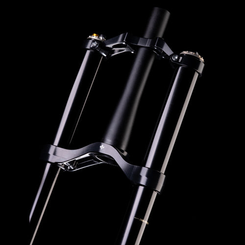 FORMULA BELVA AIR 29" Voorvork As 15x110mm Boost Zwart