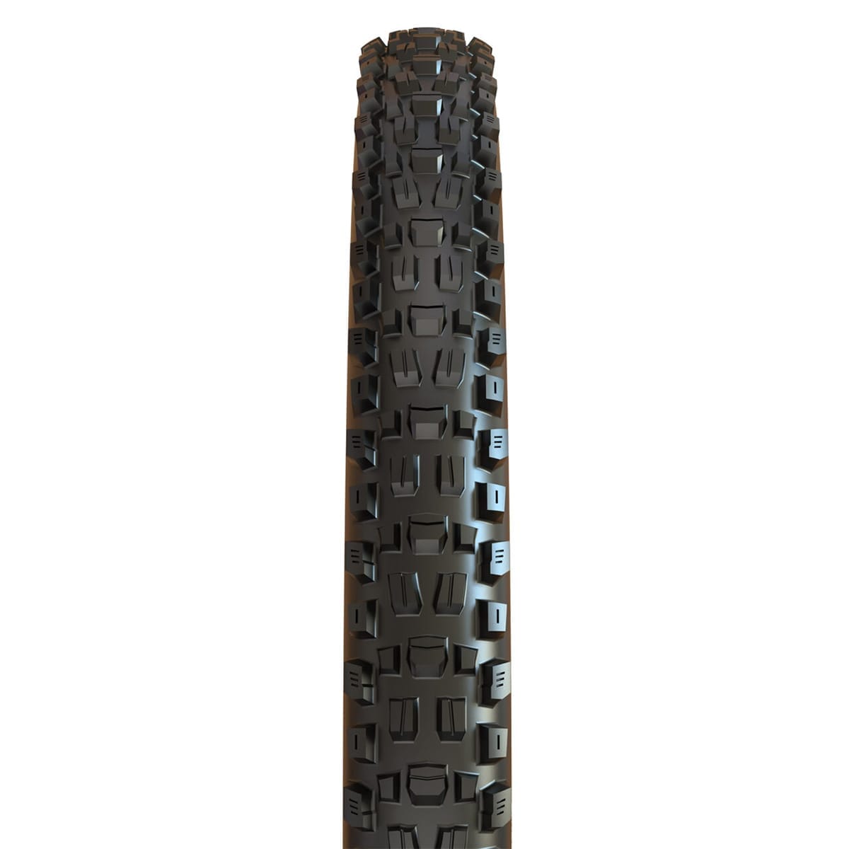 MAXXIS ASSEGAI 29x2.50 WT BikePark DH Tubeless Ready Harde Zwarte band