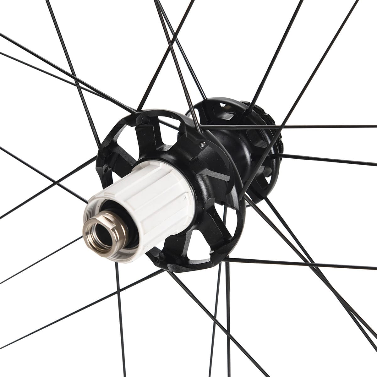 Paar CAMPAGNOLO SCIROCCO DISC Tubeless wielen (Center Lock)