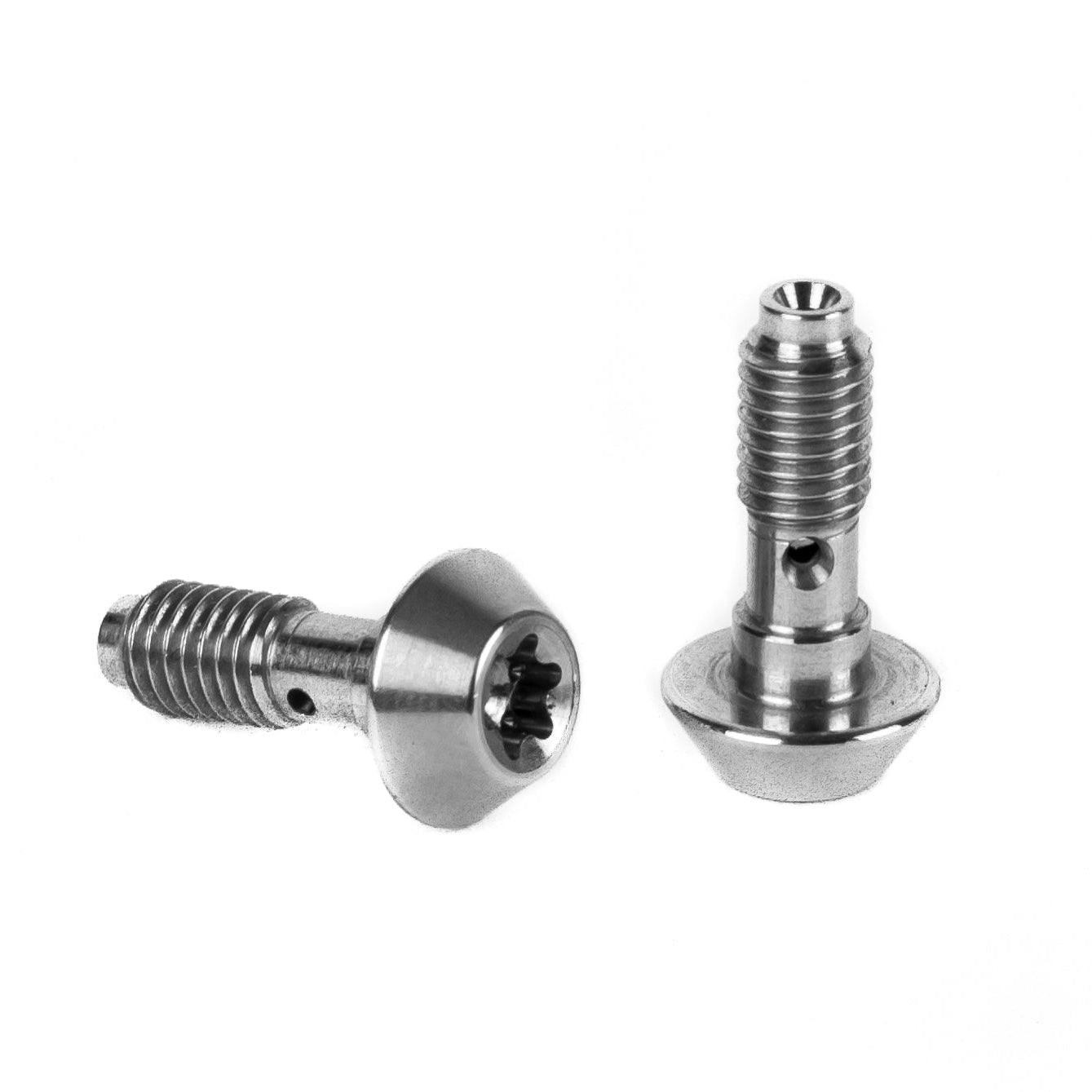 Set van 2 ELVEDES M6 schroeven voor Magura banjo