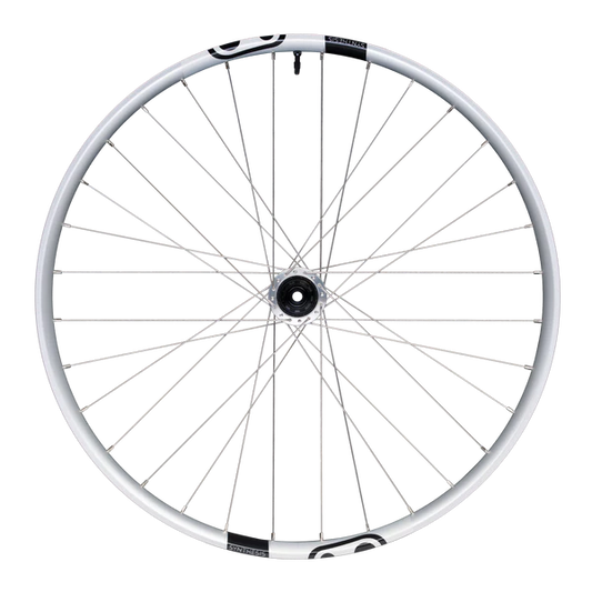 Achterwiel CRANKBROTHERS SYNTHESIS Aluminium 2.0 DH I9 29" 12x157 mm Super Boost Zilver