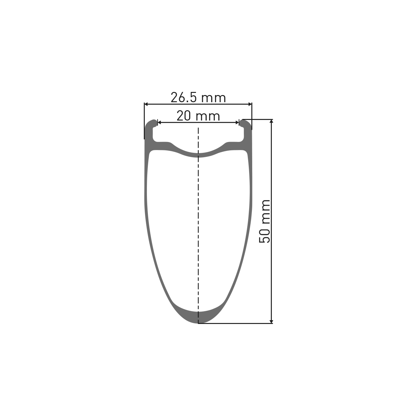 DT SWISS ARC 1100 DICUT WTS SPO 50 DISC Tubeless Ready Achterwiel (Center Lock)