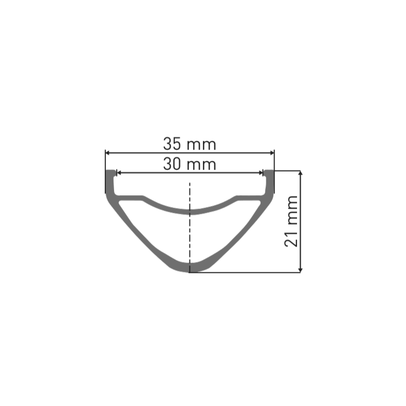 DT SWISS FR 541 29'' 30 mm velg