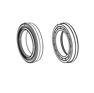 CAMPAGNOLO SUPER RECORD WRL 12V USB Lagers met afdichtingen