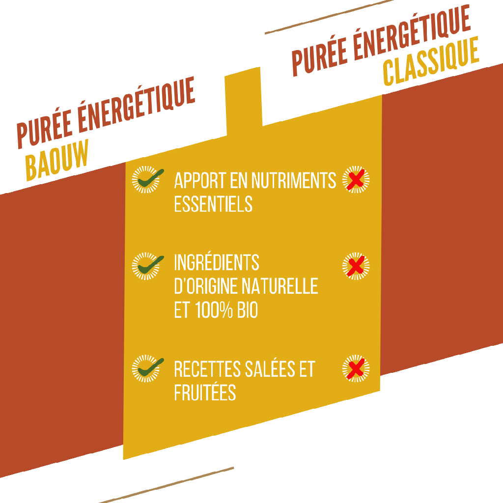 BAOUW Biologisch Recept Mango/Passie/Gember Energiepuree (90g)