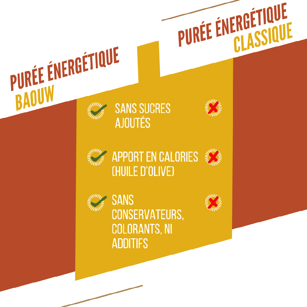 BAOUW Biologisch Recept Mango/Passie/Gember Energiepuree (90g)