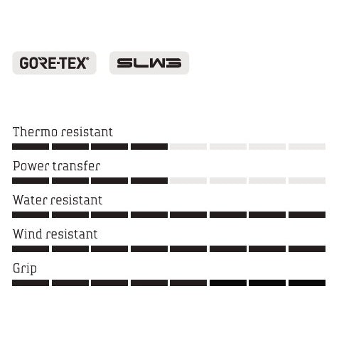 NORTHWAVE CELSIUS XT GTX WINTER MTB Schoenen Zwart/Grijs