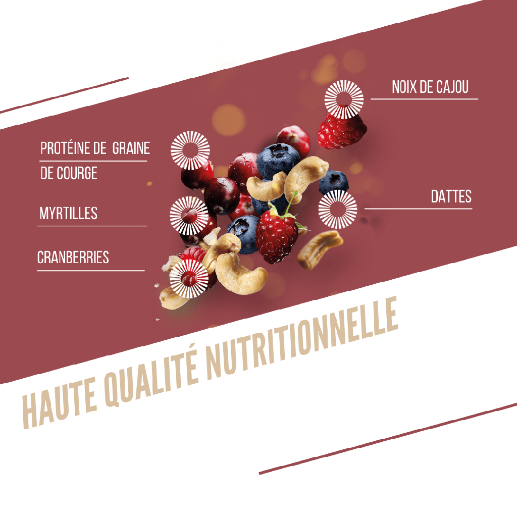 BAOUW ORGANIC EXTRA Rode Vruchten/Cashew Eiwitreep (50g)