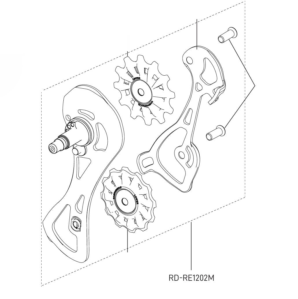 CAMPAGNOLO RECORD 12V Medium Cage Derailleur Wielen