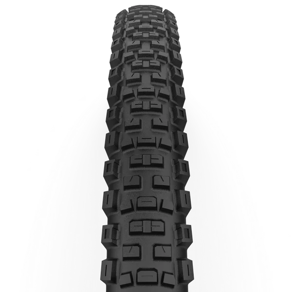 CAST ANTAGONIST 29x2.40 DualWall Smart Evo DH Tubeless Ready band