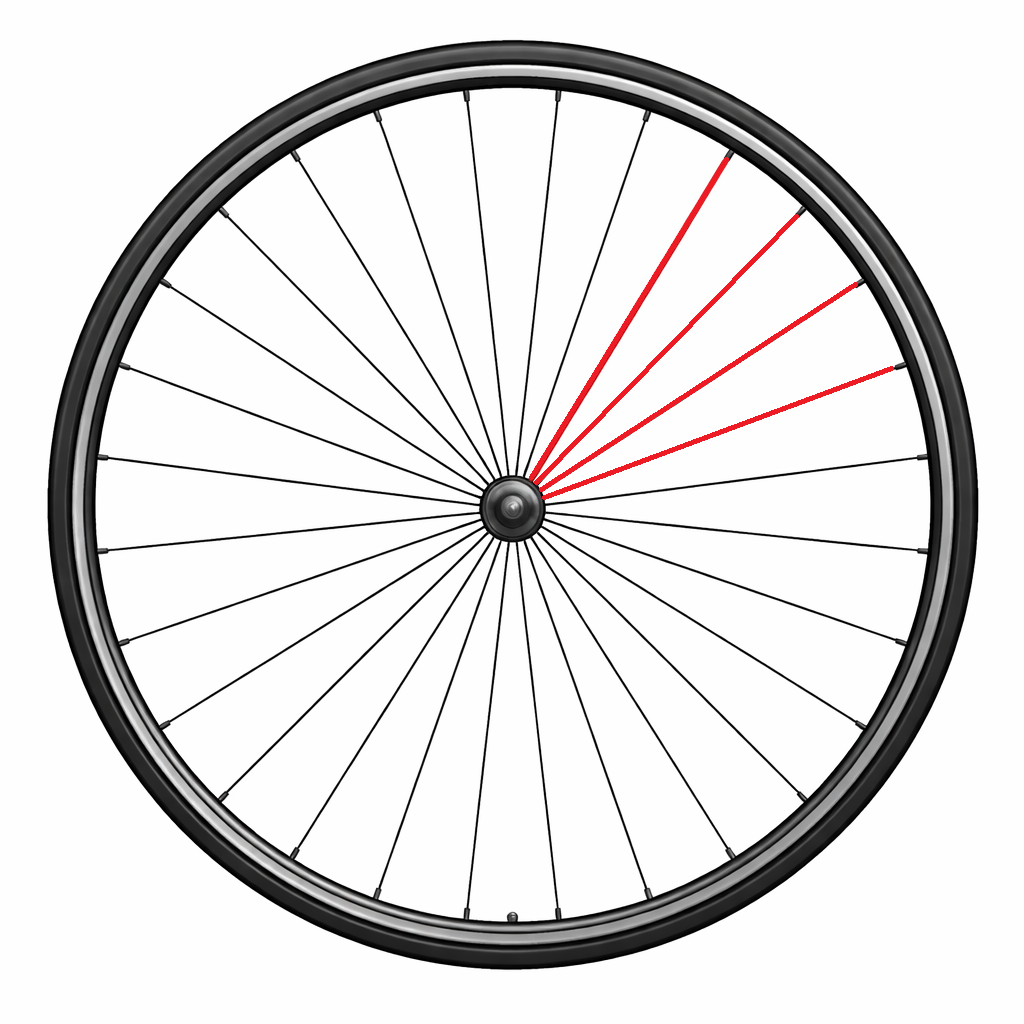 Set van 4 CAMPAGNOLO spaken + SCIROCCO DISC nippels Voor links en Achter rechts 268,5mm