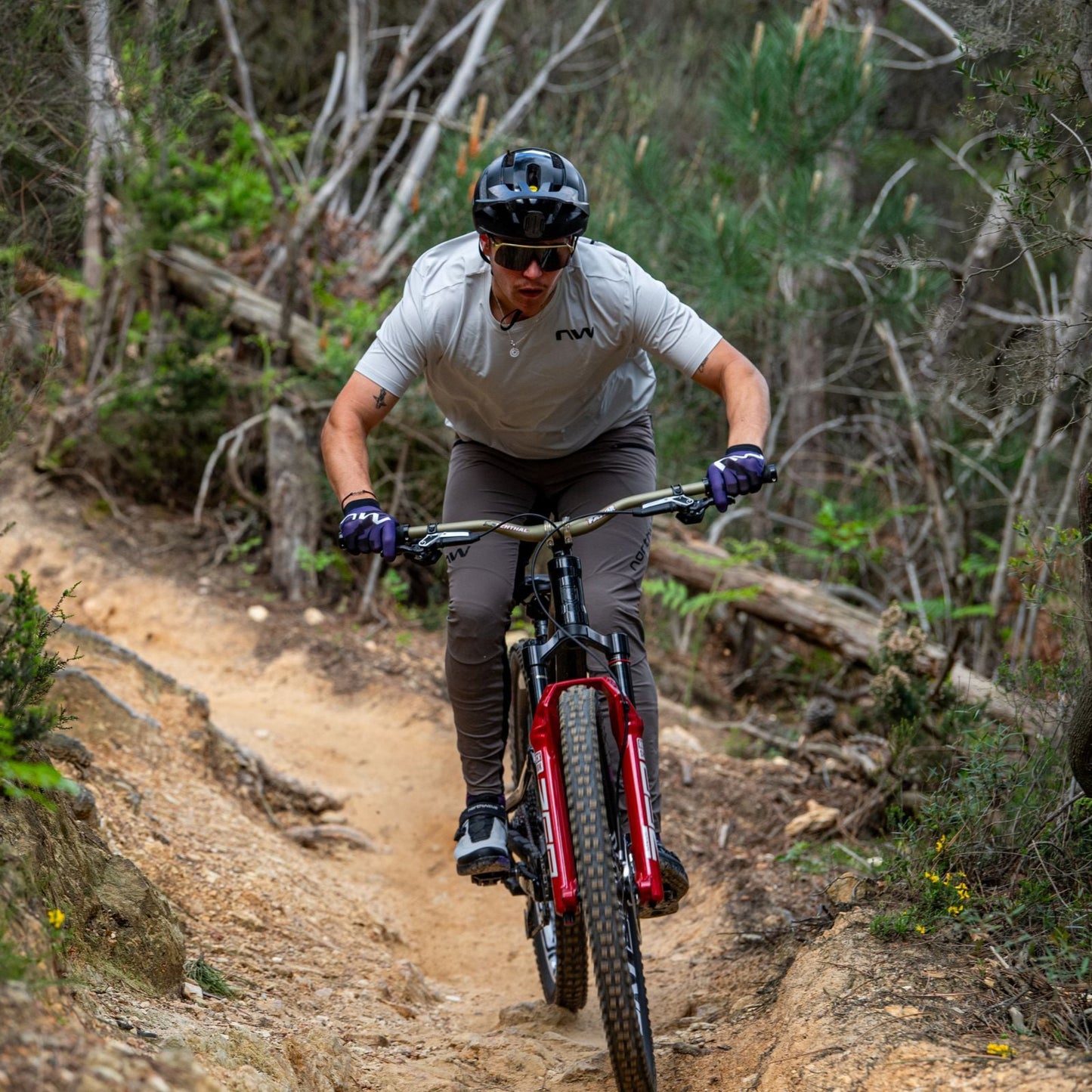 NORTHWAVE XTRAIL Korte Mouw Jersey Grijs