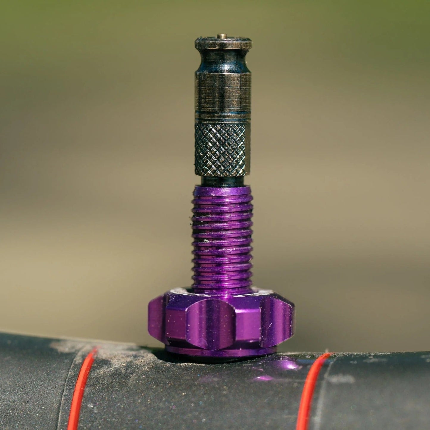 Tubeless ventiel WOLF TOOTH CLIK VALVE Ultraviolet paars
