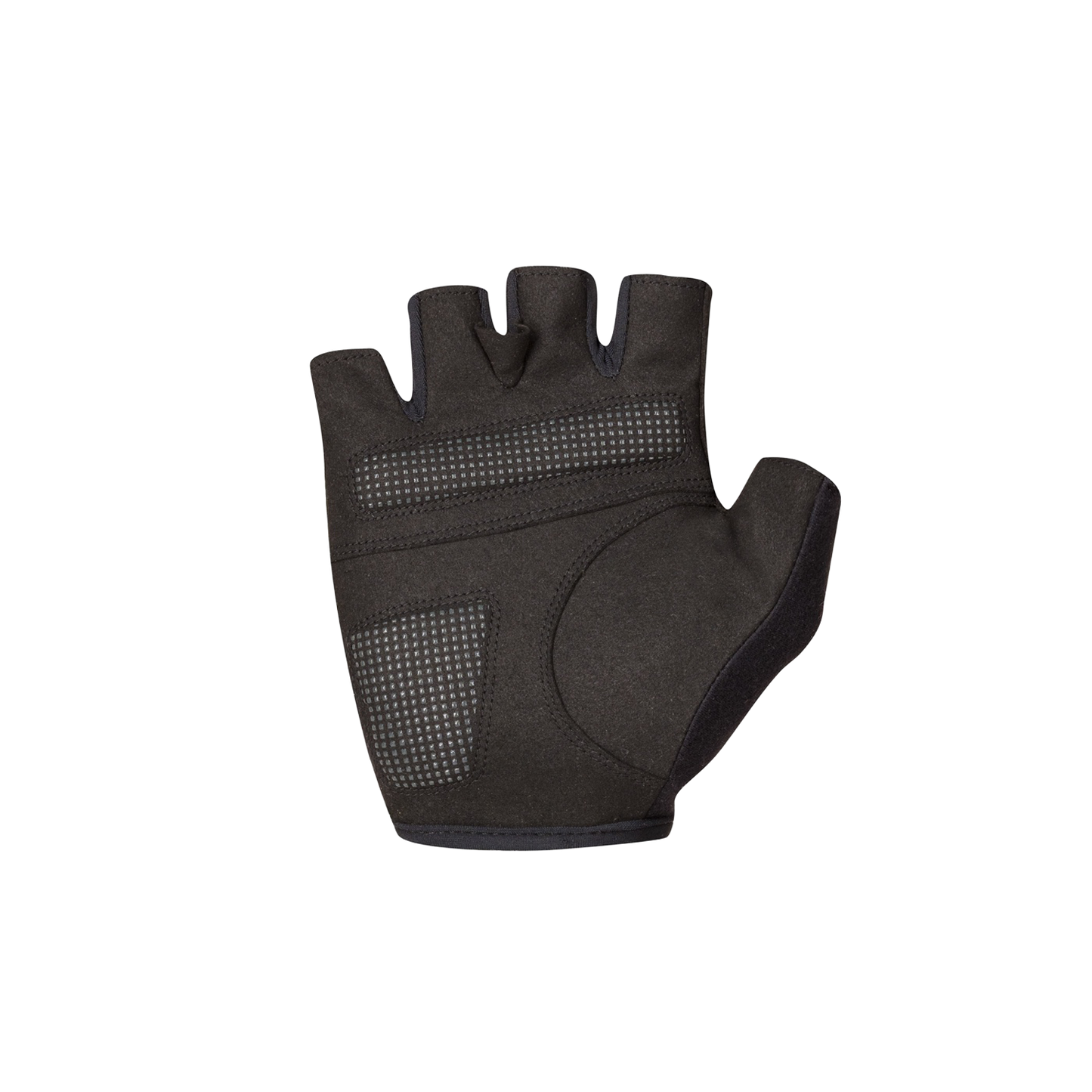 SPORTFUL CLASSIC Korte Handschoenen Groen