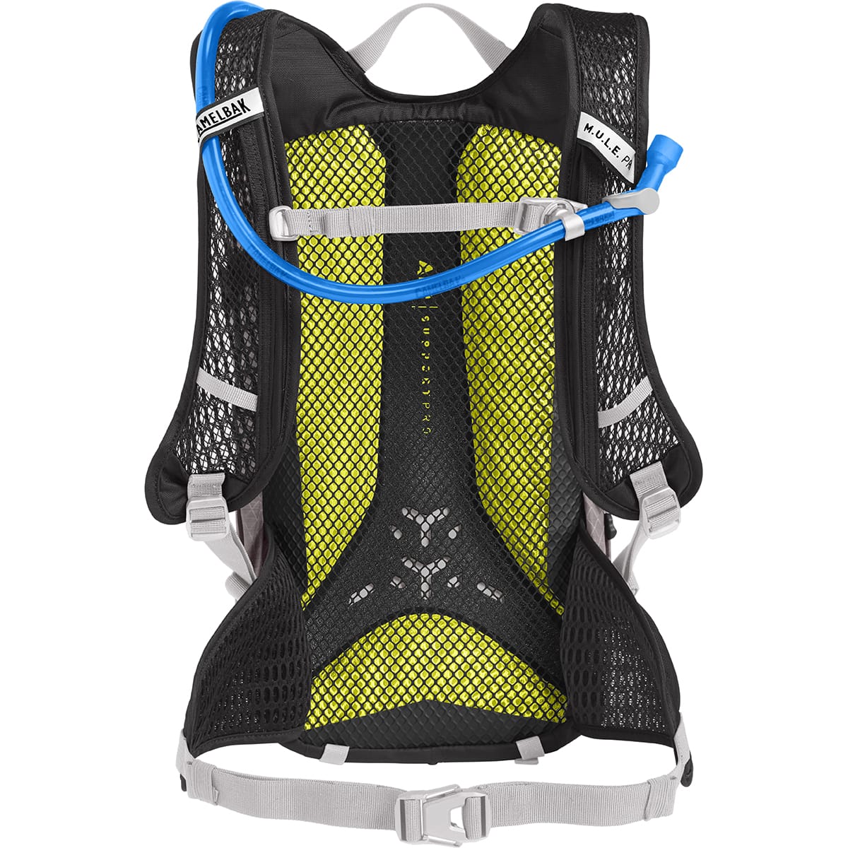 Dames CAMELBAK WOMEN MULE PRO Hydratatietas Paars