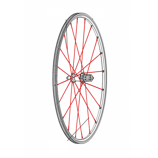 SET VAN 12 MAVIC CROSSRONE/CROSSRIDE FTSX 262MM ACHTERSPAKEN