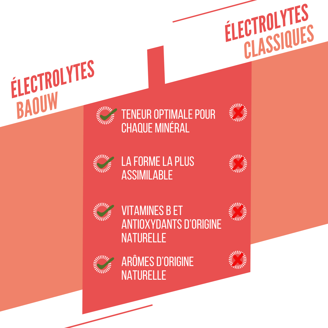 BAOUW Energiedrank (Tube van 10 tabletten) Perzik/Passie