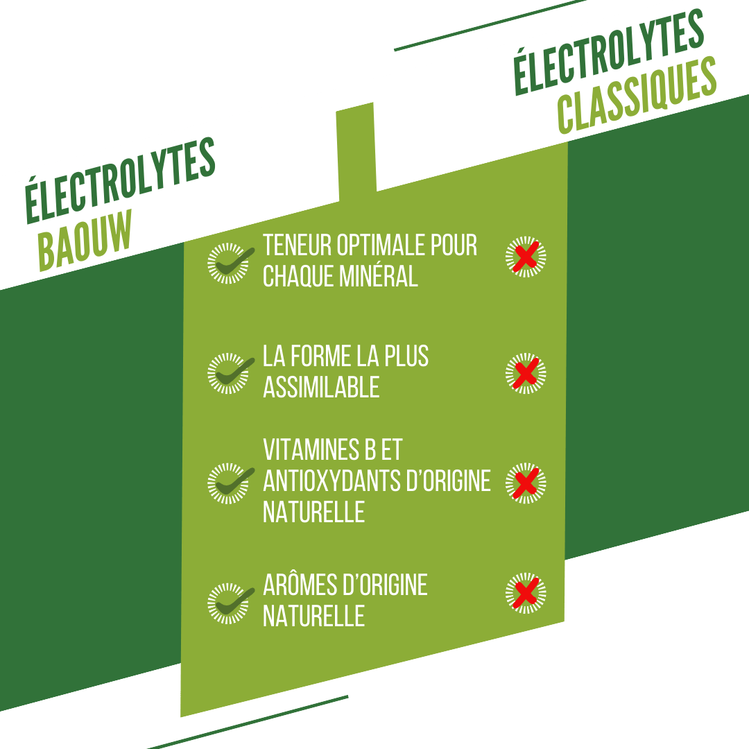 BAOUW Energiedrank (Tube van 10 tabletten) Limoen/Munt