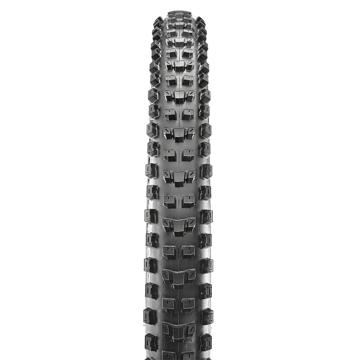 Pneu MAXXIS DISSECTOR 29x2,40 WT DH 3C Grip Tubeless Ready Souple Noir