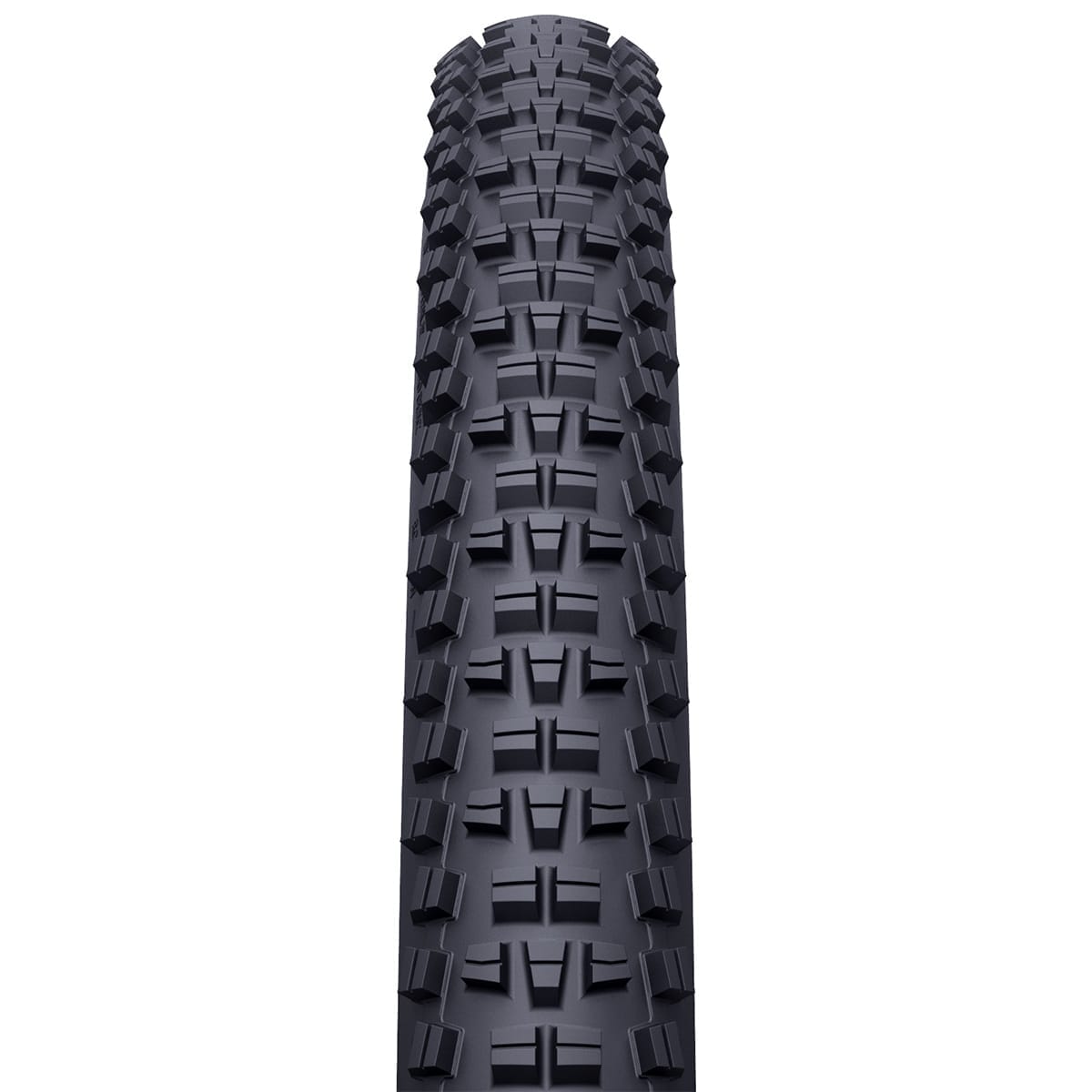 Pneu WTB TRAIL BOSS 29x2,25 TCS Light Tubeless Ready Souple W010-0887