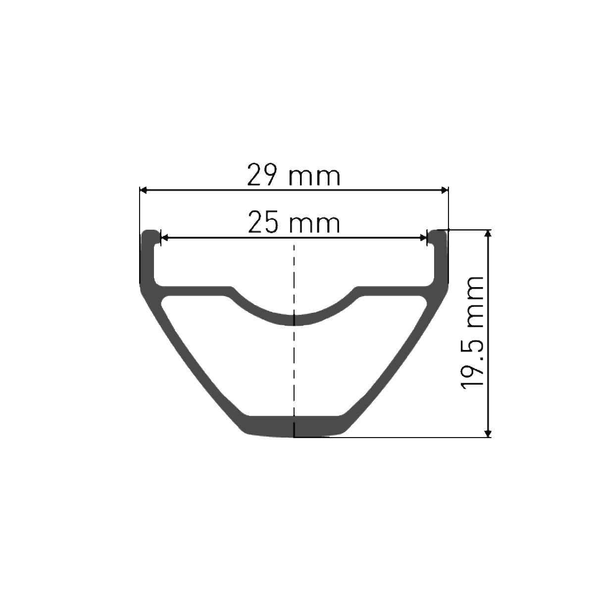 DT SWISS X 1900 SPLINE Achterwiel 25 mm 29" 12x142 mm