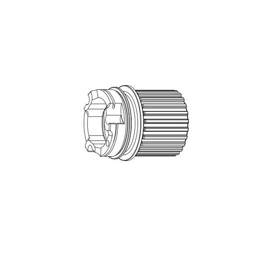 CAMPAGNOLO Vrijloopbody Type SHIMANO Microspline 12V