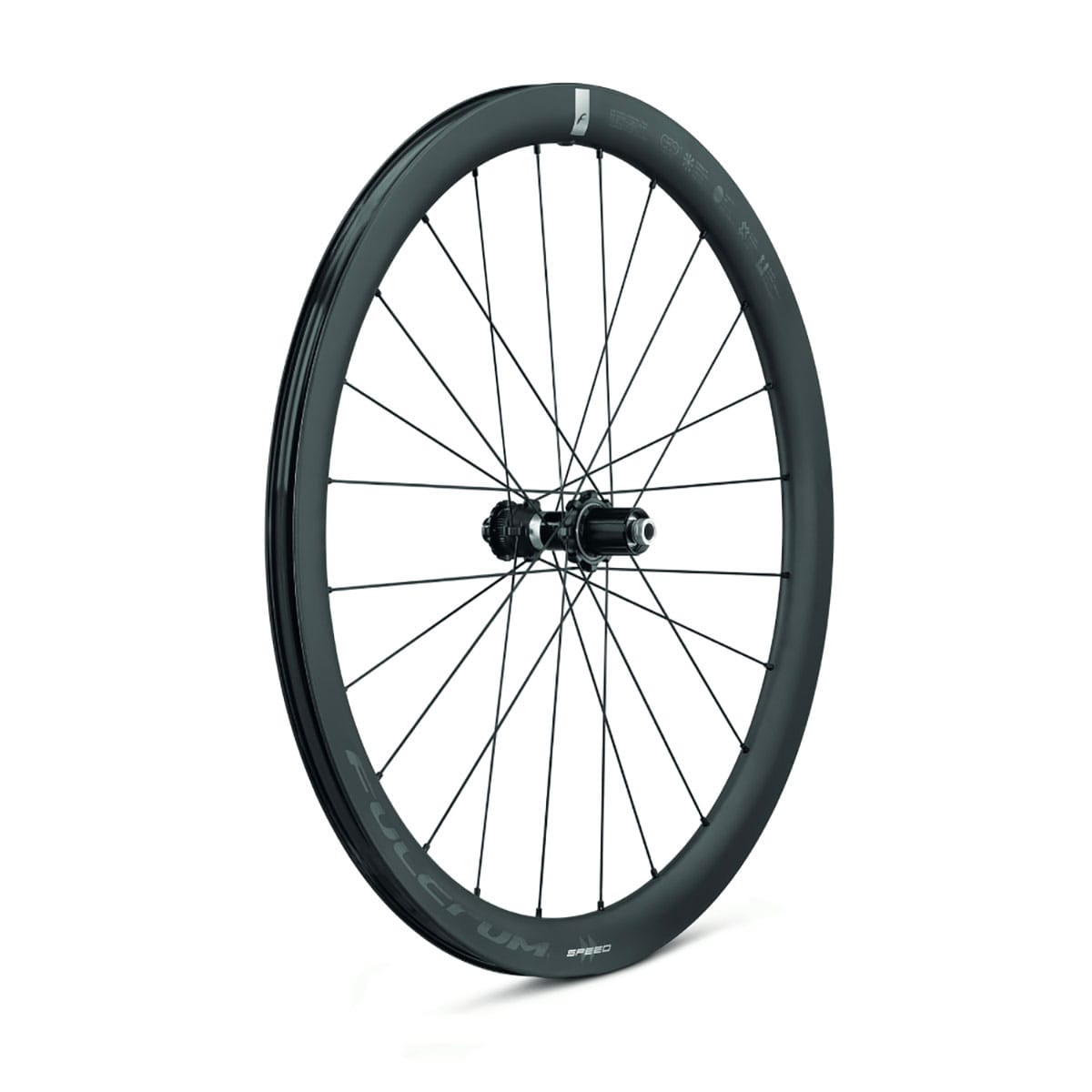 Paar FULCRUM SPEED 42 2-WAY FIT C23 DISC wielen met banden (middenslot)