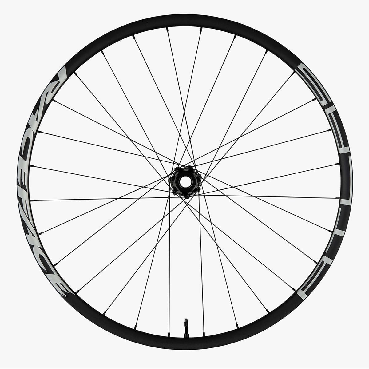 Paar RACE FACE ATLAS 29'' wielen 12x150-157mm/20-15x110mm