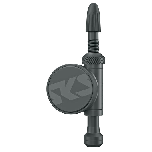 Set van 2 SKS Germany AIRSPY TL S 60 mm drukregelventielen