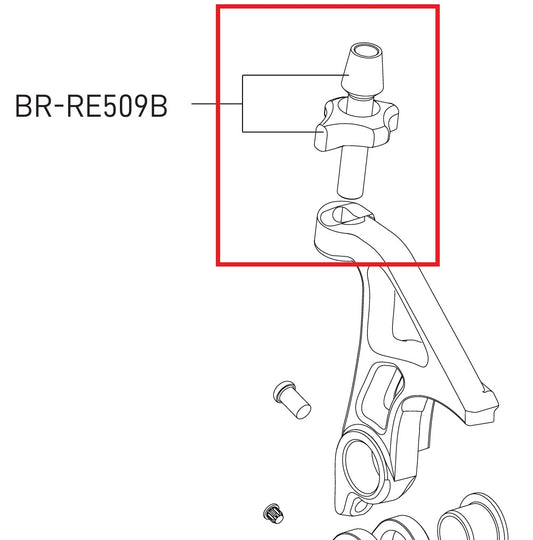 Stelschroef voor direct gemonteerde remklauw CAMPAGNOLO SUPER RECORD / RECORD 12V