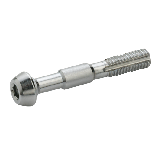 Set van 2 ELVEDES M6 schroeven voor Shimano Banjo