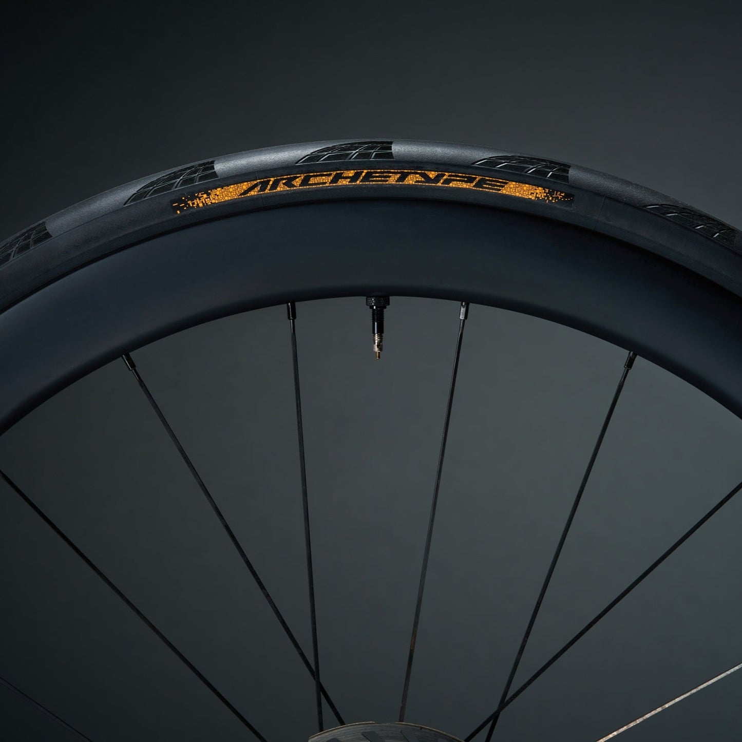 CONTINENTAL ARCHETYPE TDF 2025 700x30c Tubeless Ready Zwarte band - Limited Edition