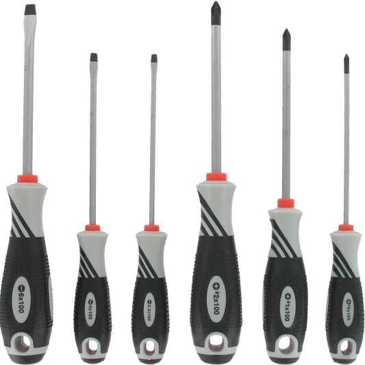 Set van 6 VAR professionele schroevendraaiers DV-71000