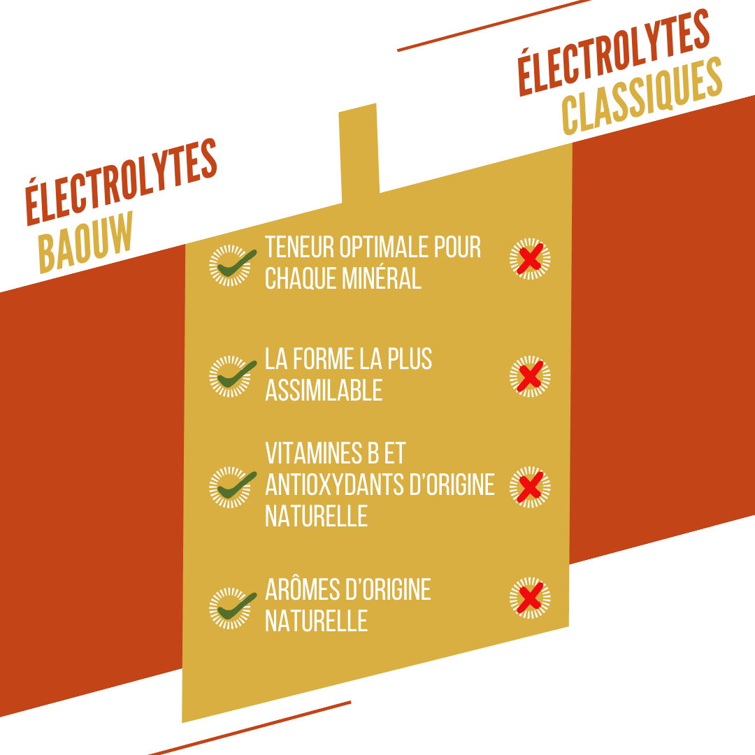 BAOUW Energiedrank (Tube van 10 tabletten) Mango/Pinaanas
