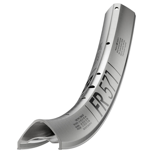 DT SWISS FR 571 29'' 30 mm Zilveren velg