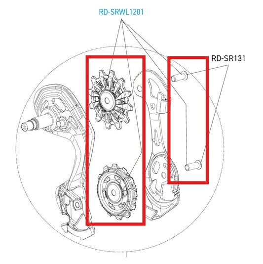 CAMPAGNOLO SUPER-RECORD 12V WRL DISC Achterderailleur Wielen