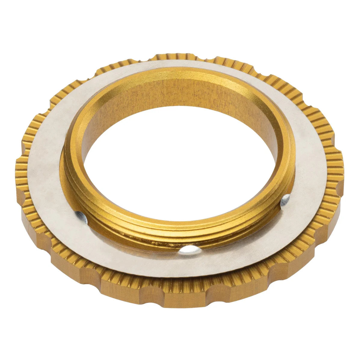 WOLF TOOTH Centerlock-moer (extern), goudkleurig