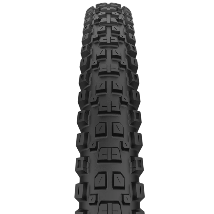 CAST PROTAGONIST 29x2.40 DualWall Smart Evo DH Tubeless voorbereid band