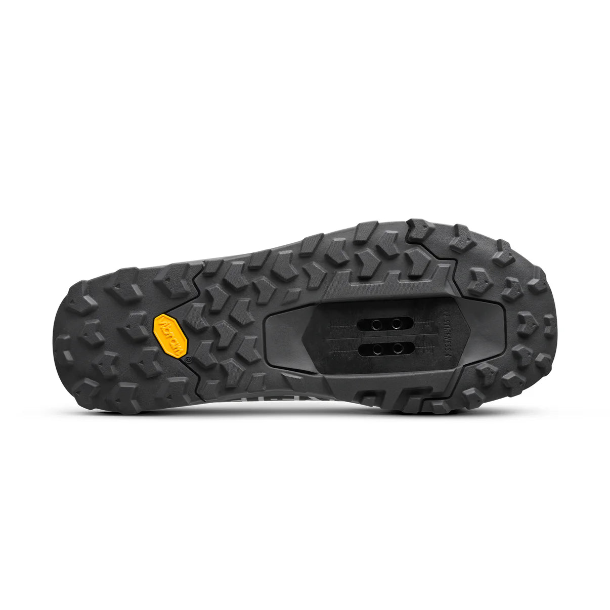 FIZIK ERGOLACE 2 GTX mountainbikeschoen, zwart