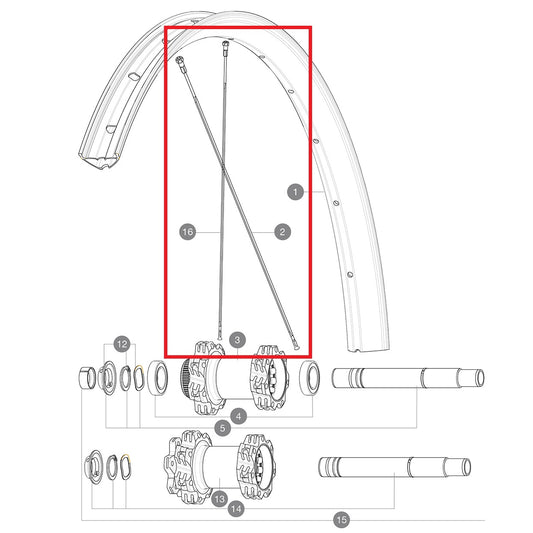 KIT 14 ACHTER NIET-AANGEDREVEN EDEEMAX 29'' FLAT SPOKE 305 + NIPPEL