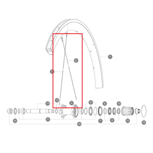 KIT 12 BUTTED AERO ROESTVRIJE SPAAK 277 + ALU NIPPEL + SLUITRING