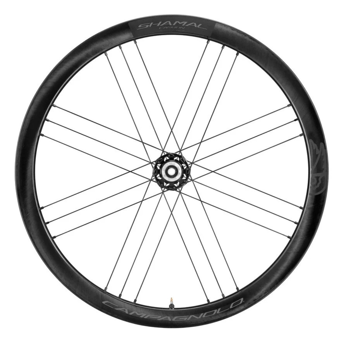 CAMPAGNOLO SHAMAL DISC achterwiel met banden (Center Lock)