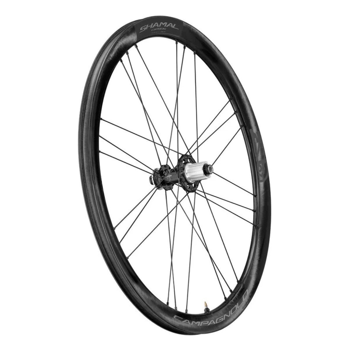 CAMPAGNOLO SHAMAL DISC achterwiel met banden (Center Lock)