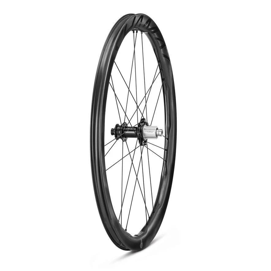 Paar CAMPAGNOLO SHAMAL DUAL PROFIEL CARBON C23 Tubeless wielen (Center Lock)