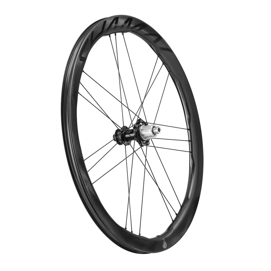 Paar CAMPAGNOLO SHAMAL DUAL PROFIEL CARBON C23 Tubeless wielen (Center Lock)