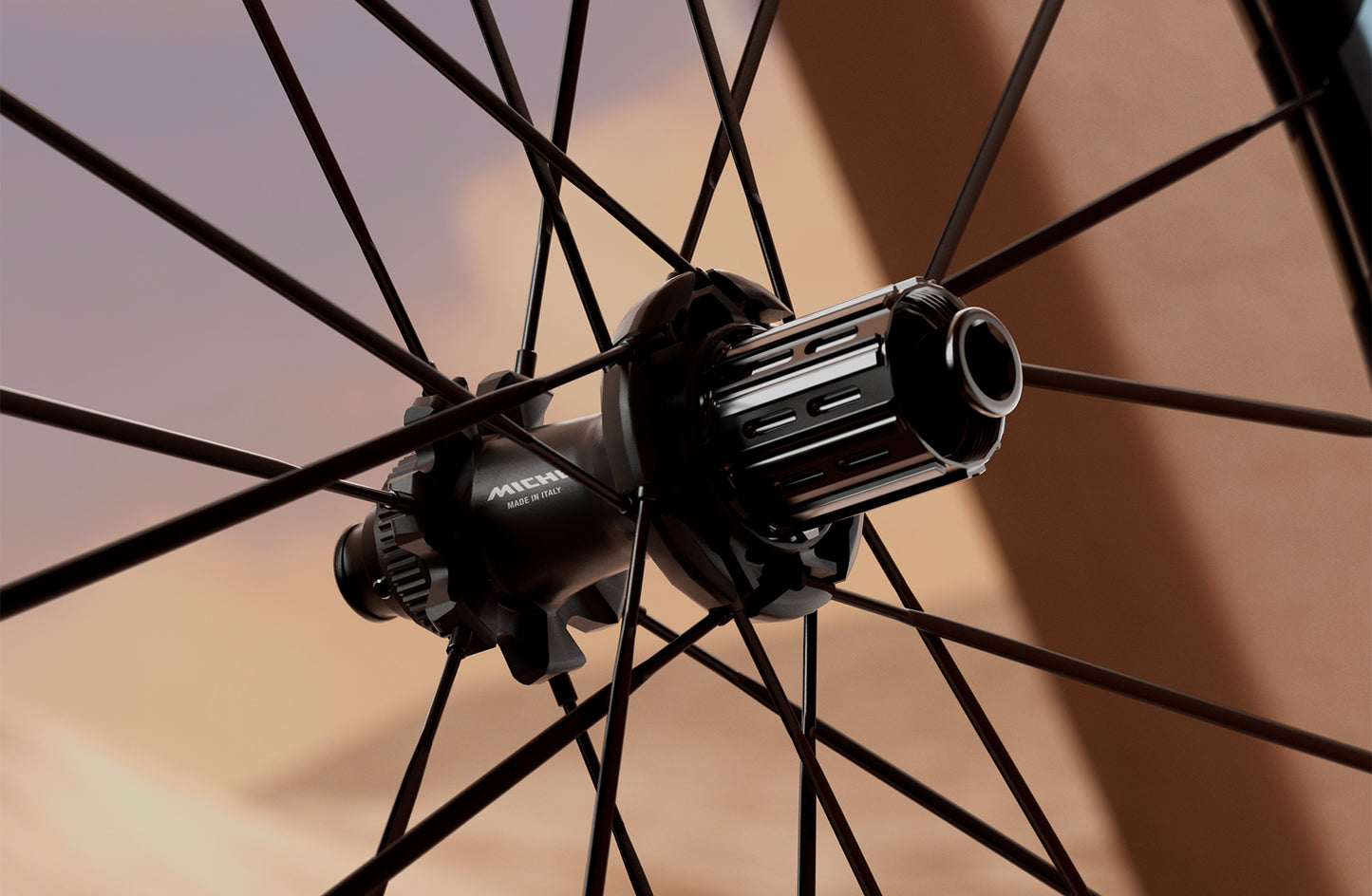 Paar MICHE DEVA RD 52 Tubeless Ready wielen (Center Lock) Zilver
