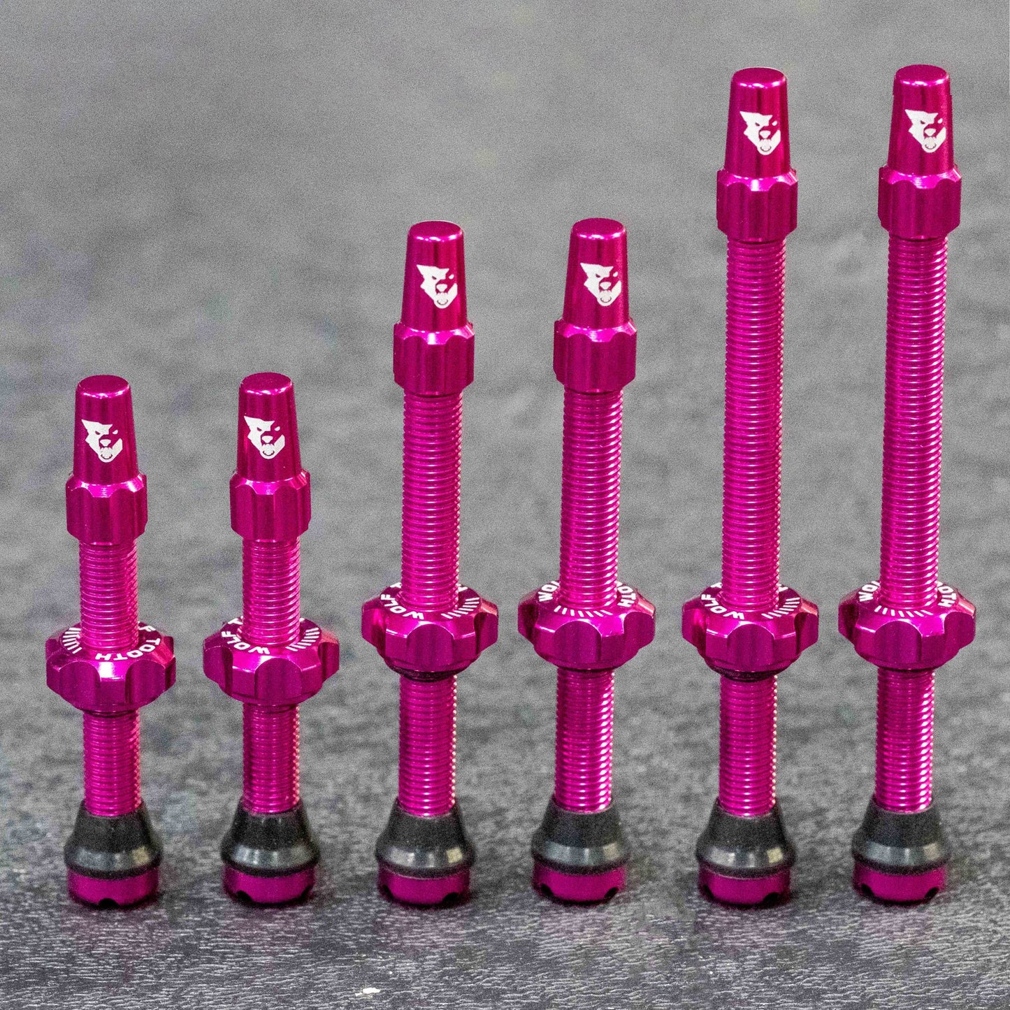 Set van 2 WOLF TOOTH binnenbandloze ventielen Roze