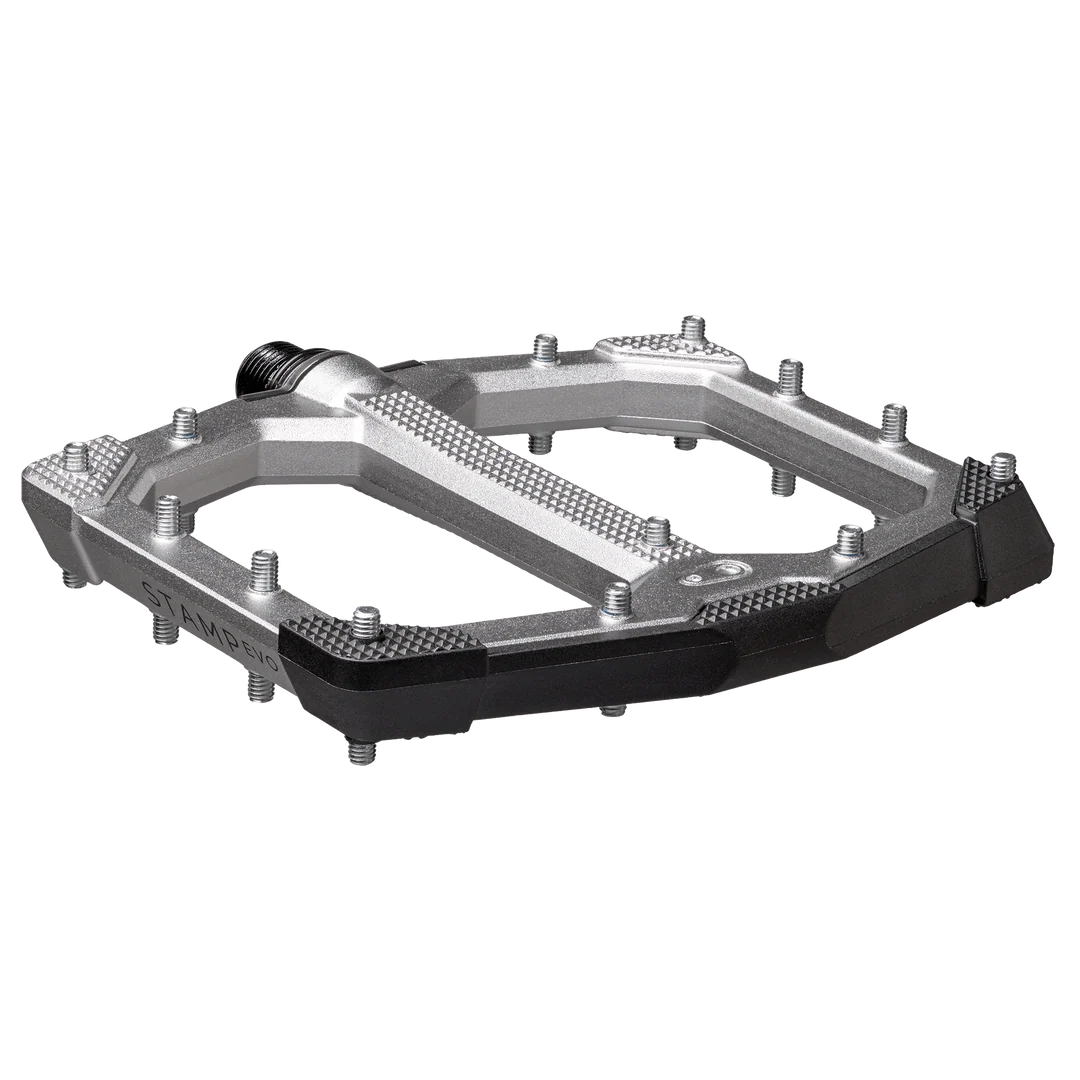 CRANKBROTHERS STAMP EVO Groot Zilver platte pedalen